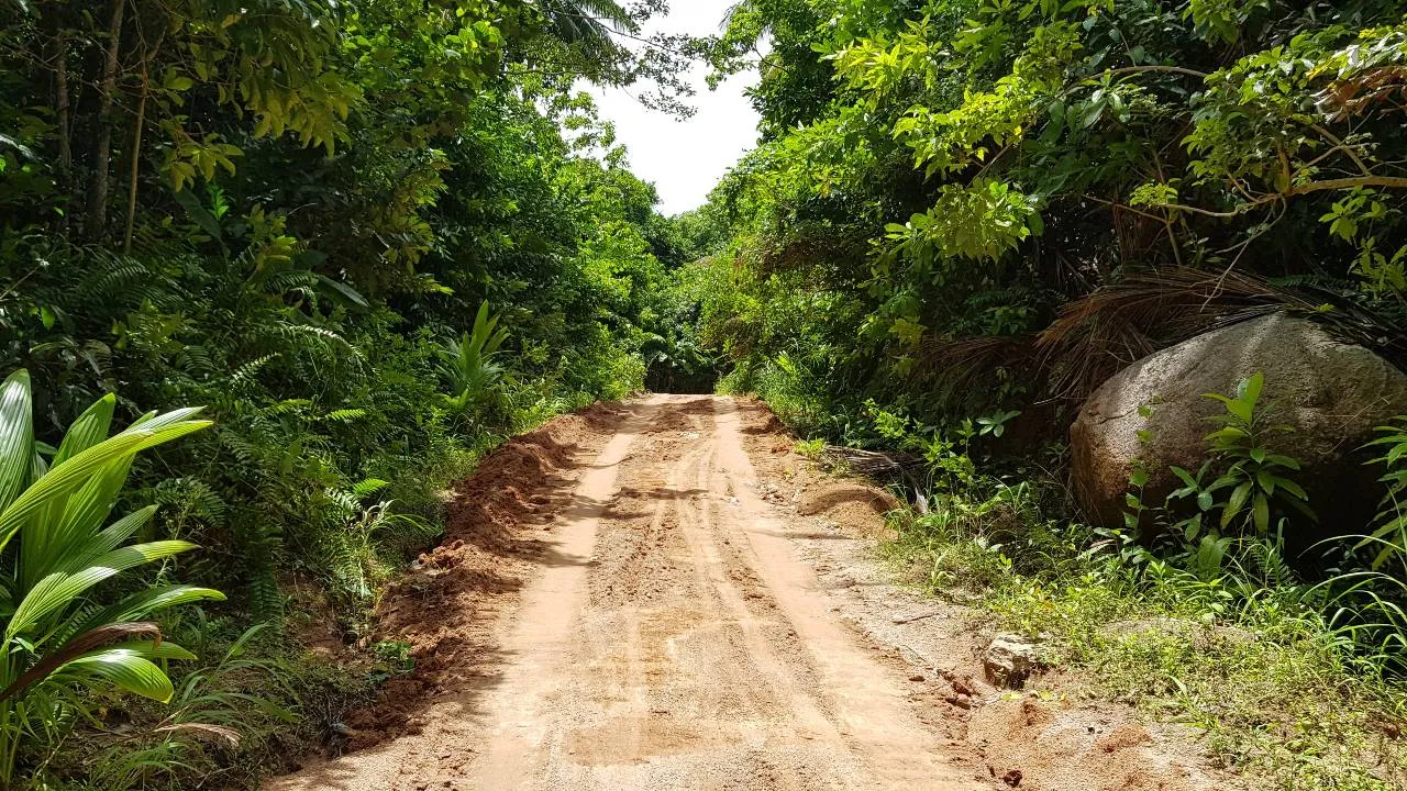 Опасная грязная дорога на Ко Тао